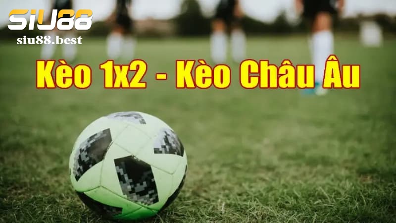 Giới thiệu về kèo châu Âu