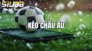 Các trường hợp thắng thua trong kèo châu Âu