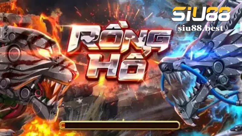 Tổng quan cơ bản về sảnh cược Rồng Hổ 