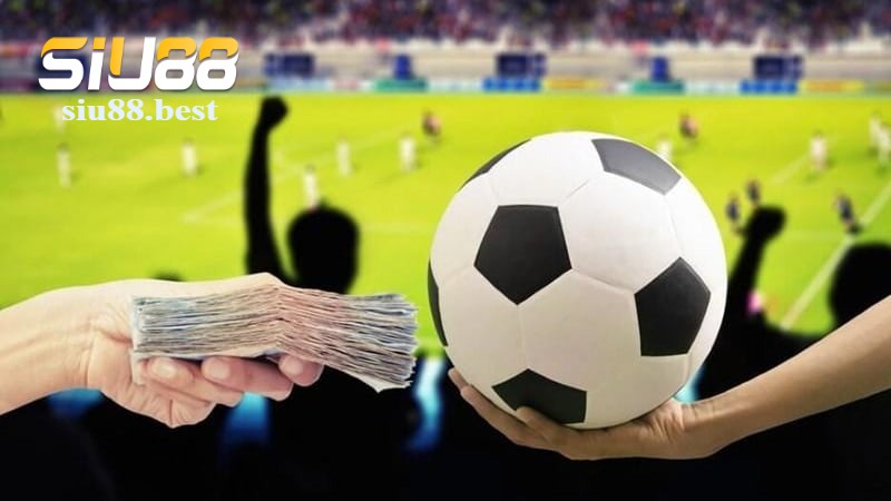 Các bộ môn thể thao hot nhất tại Siu88